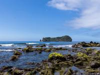 Moosüberzogene Felsküste bei Vila Franca do Campo - Insel São Miguel
